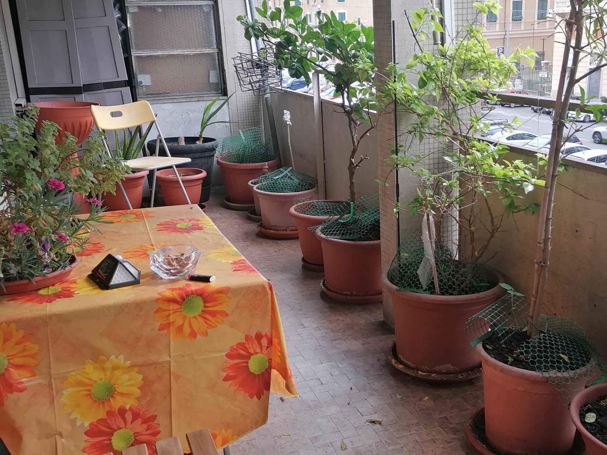 Celine Bed & Breakfast Genoa Bagian luar foto